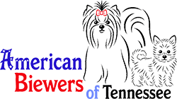 American Biewers Logo